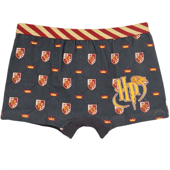 Harry Potter Lion gyerek boxeralsó 2 darab/csomag 10 - 12 év / 140 - 152 cm